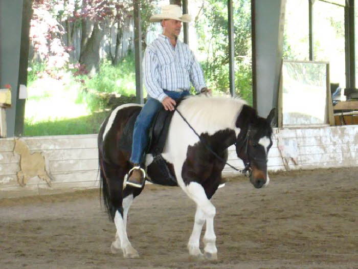Rick pulled double duty this clinic, riding Domino as well