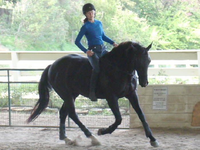 Or maybe the gorgeous gaits