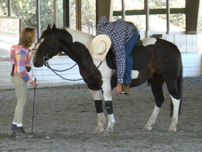 Domino is patient during this exercise and Rick is really flexible!