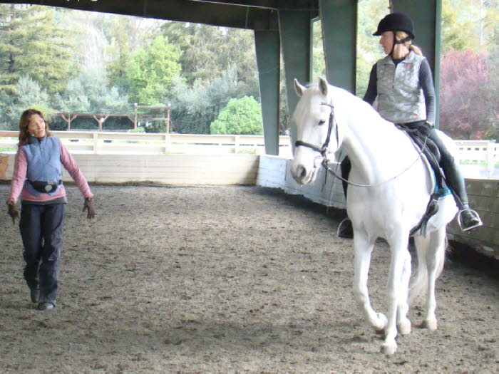 This rider is fairly new to the clinic and rode with Liz. She starts with the Terry Q & A and evaluation 