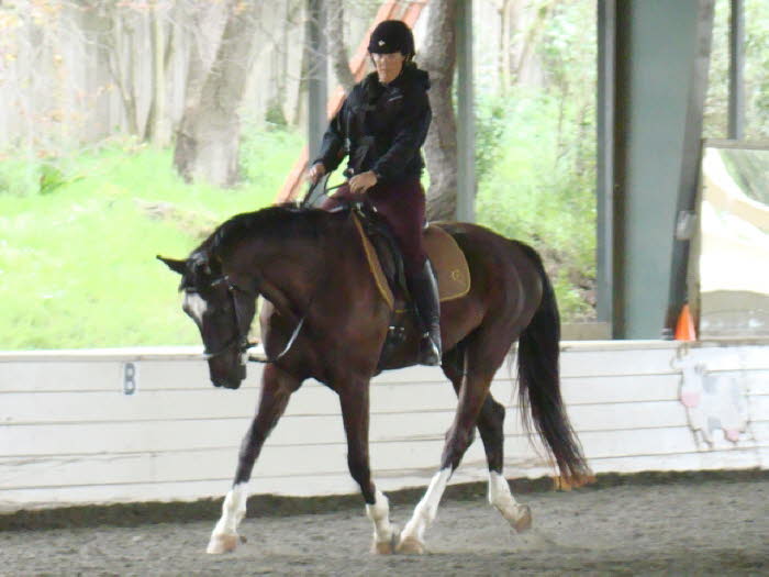 Devon startles me with his size now and look at that overstride! How is it up there, Elise?