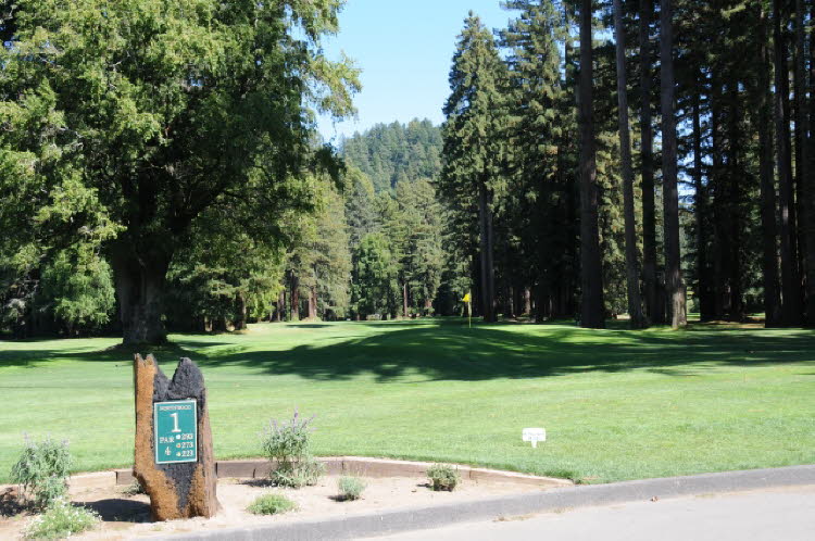 Golf in the Redwoods