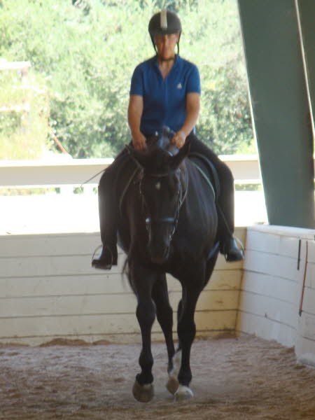 Elise is trying hard not to overface Robin  but he is so talented it is tempting.