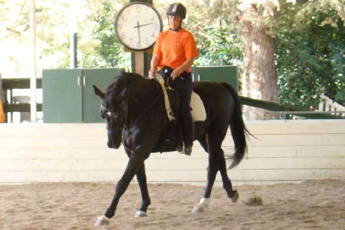 Elise and Robin’s leg yield work made that rocking horse canter even better.