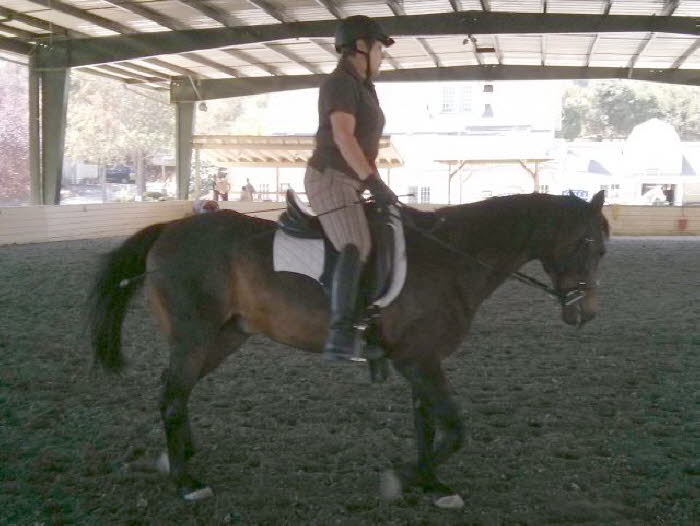 Not big, but getting better at the trot