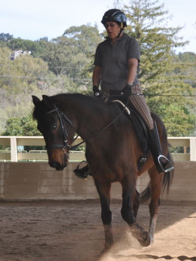 Joyce & Willow work on lead and under saddle getting flexion