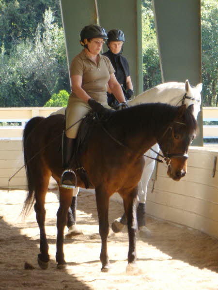 Liz and Joyce tried doing lateral work with Ally and Willow together.