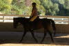 and Joyce got the benefit at the canter.