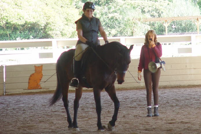 Willow did fantastic work on Saturday, but was tired on Sunday so we went back to basic lateral work.