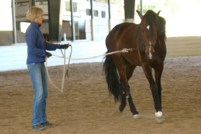 then Karen got to try out some new tools with Zangao