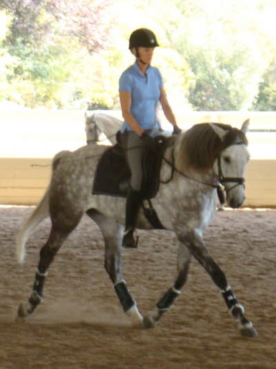 resulting in some gorgeous trot work.
