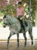 Karen and her Lusitano are such a lovely pisture
