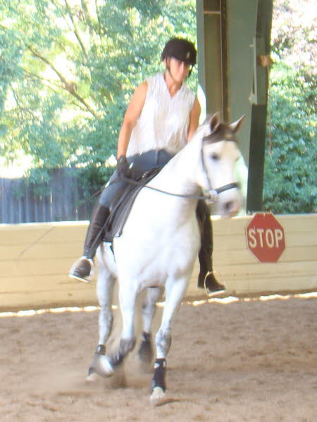 New to each other and new to riding, they made amazing progress with Laura’s timing asking for softness and his responses.
