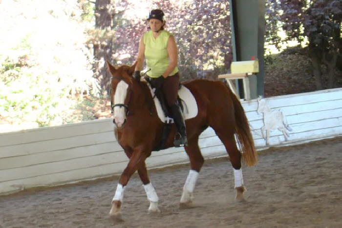 Laura rode Echo and her attitude in a shared lesson with