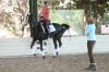 I love to watch him fly.