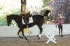 and one to the left, but too fast for my camera?