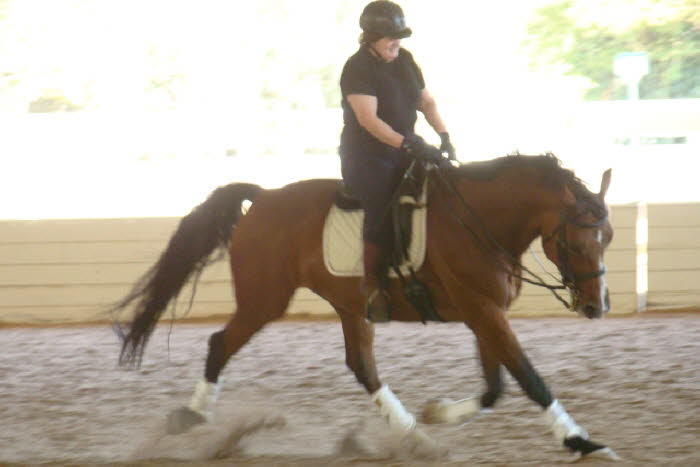 and then went on to this amazing trot! 
