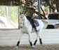 Liz shared a lesson while rehabbing Ally with