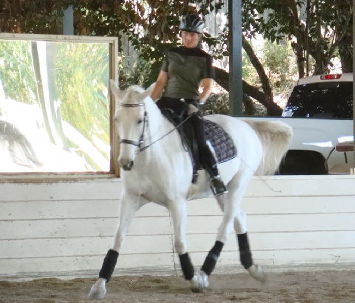 Liz shared a lesson while rehabbing Ally with