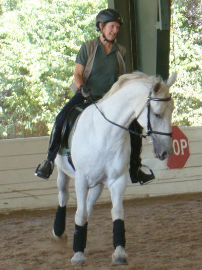 Canter and even more flexion