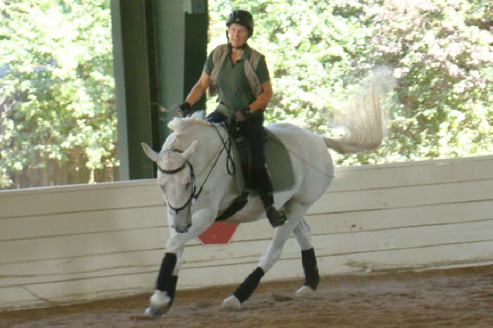 Liz also mastered the posting canter