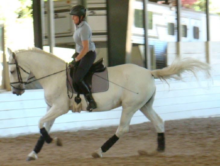 Then Liz took her turn trying the posting canter!