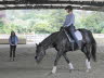 No stirrups yet – but a saddle and good relaxation!