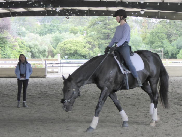 No stirrups yet  but a saddle and good relaxation!