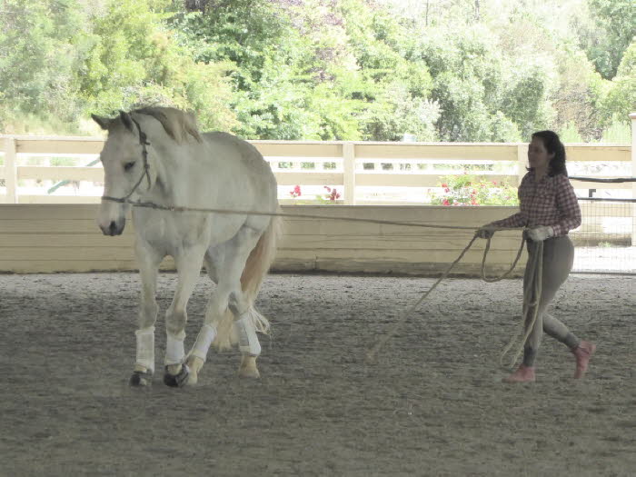 Romi helping Zoe reclaim that calmness and responsiveness she has demonstrated