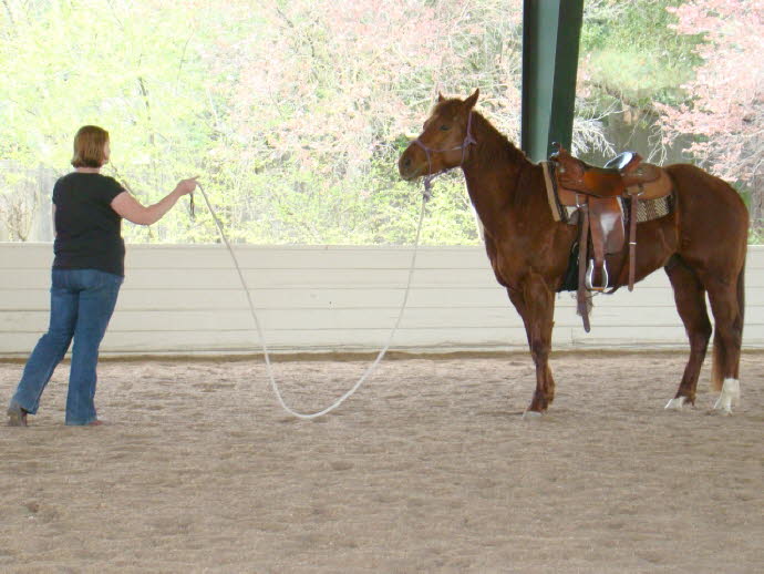 Sara gets to work with her new youngster, Logan