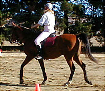 pam-back.jpg (48933 bytes)