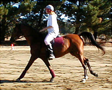 pam-canter.jpg (53272 bytes)